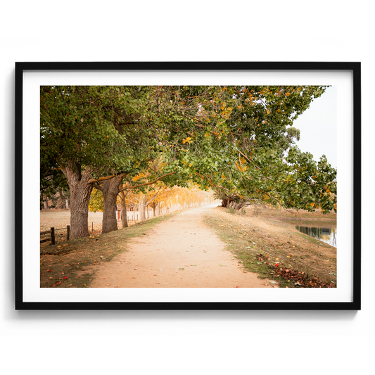 Autumn Park - Daylesford - Wall Art