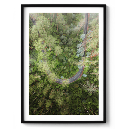 Black Spur Drive Aerial - Narbethong - Wall Art