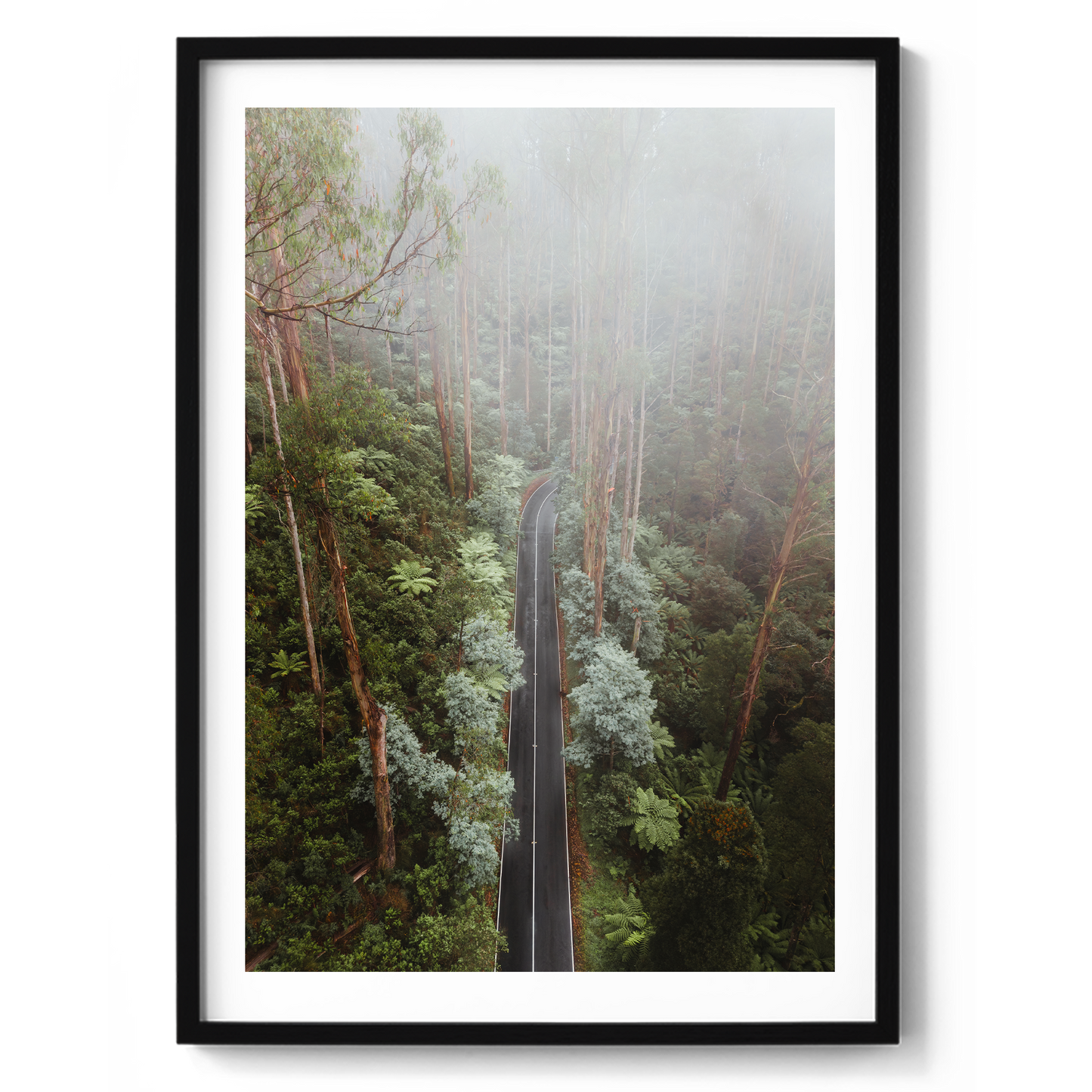 Black Spur Drive Aerial II - Narbethong - Wall Art