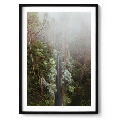 Black Spur Drive Aerial II - Narbethong - Wall Art