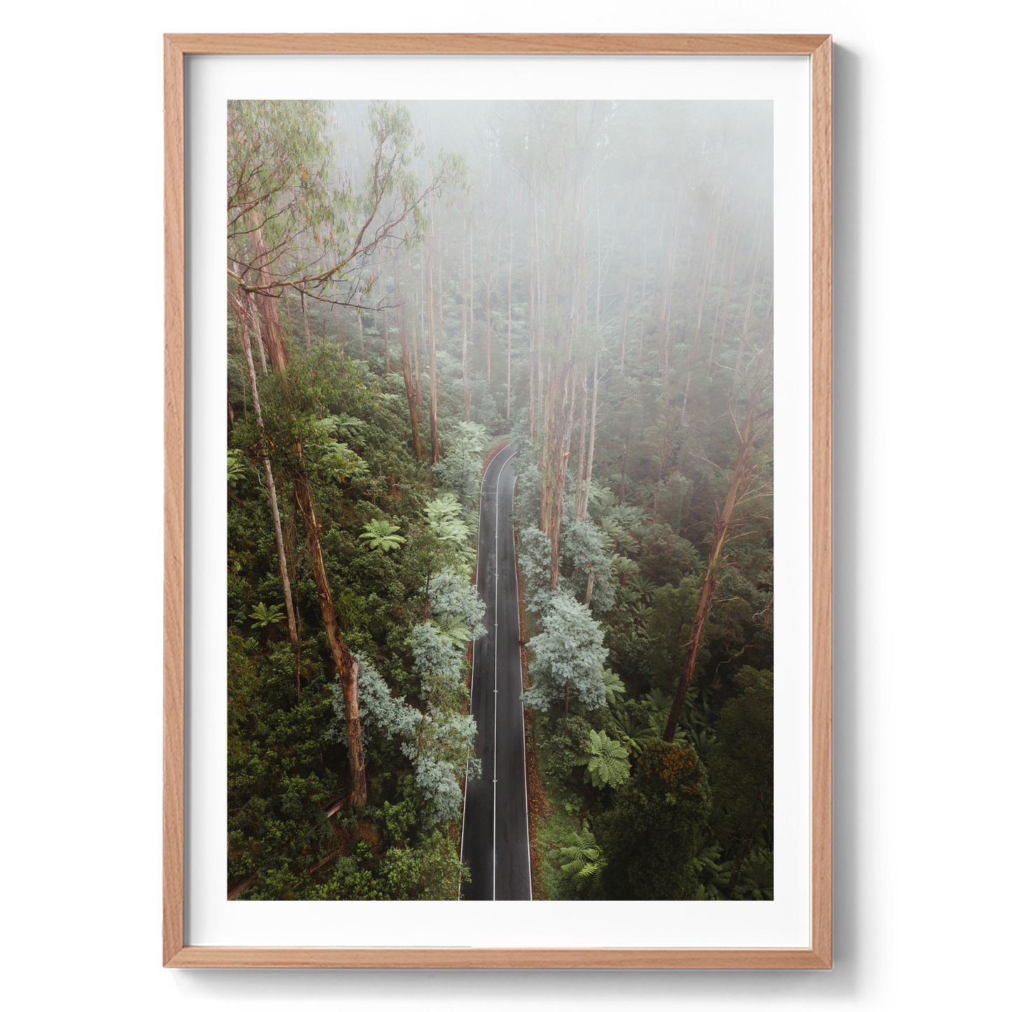 Black Spur Drive Aerial II - Narbethong - Wall Art