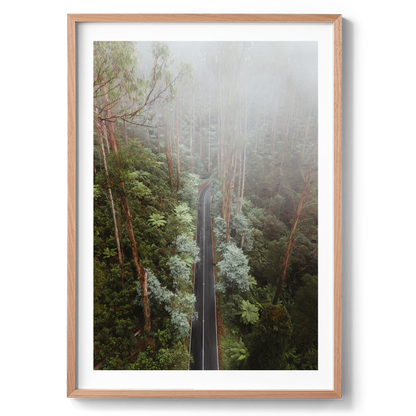 Black Spur Drive Aerial II - Narbethong - Wall Art