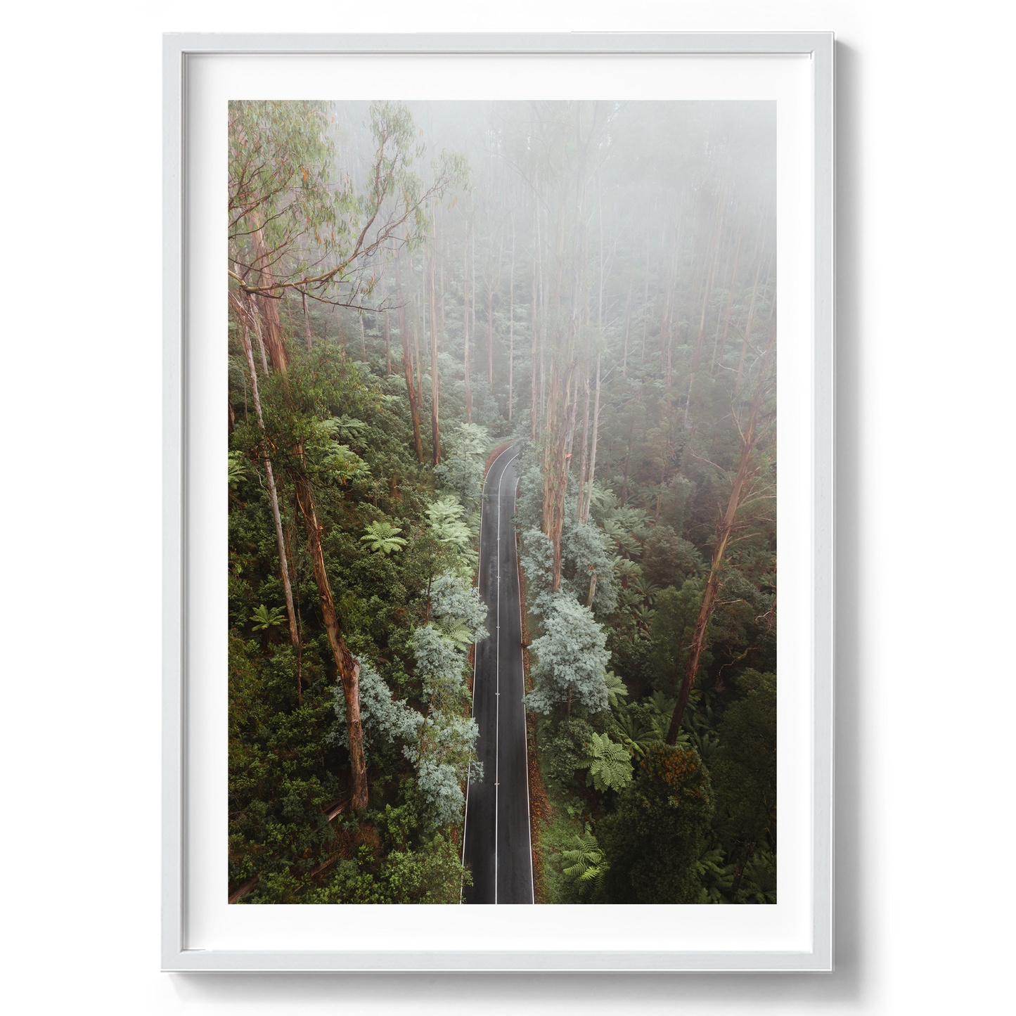 Black Spur Drive Aerial II - Narbethong - Wall Art