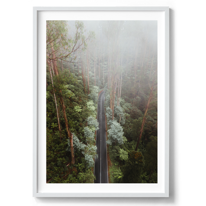 Black Spur Drive Aerial II - Narbethong - Wall Art