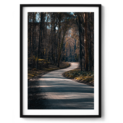 Bunyip State Park Winding Road - Victoria - Wall Art