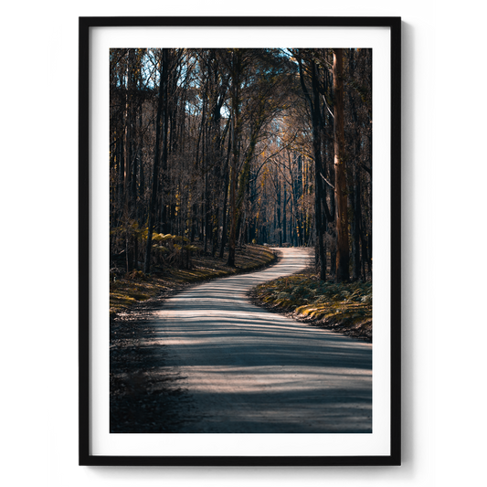 Bunyip State Park Winding Road - Victoria - Wall Art