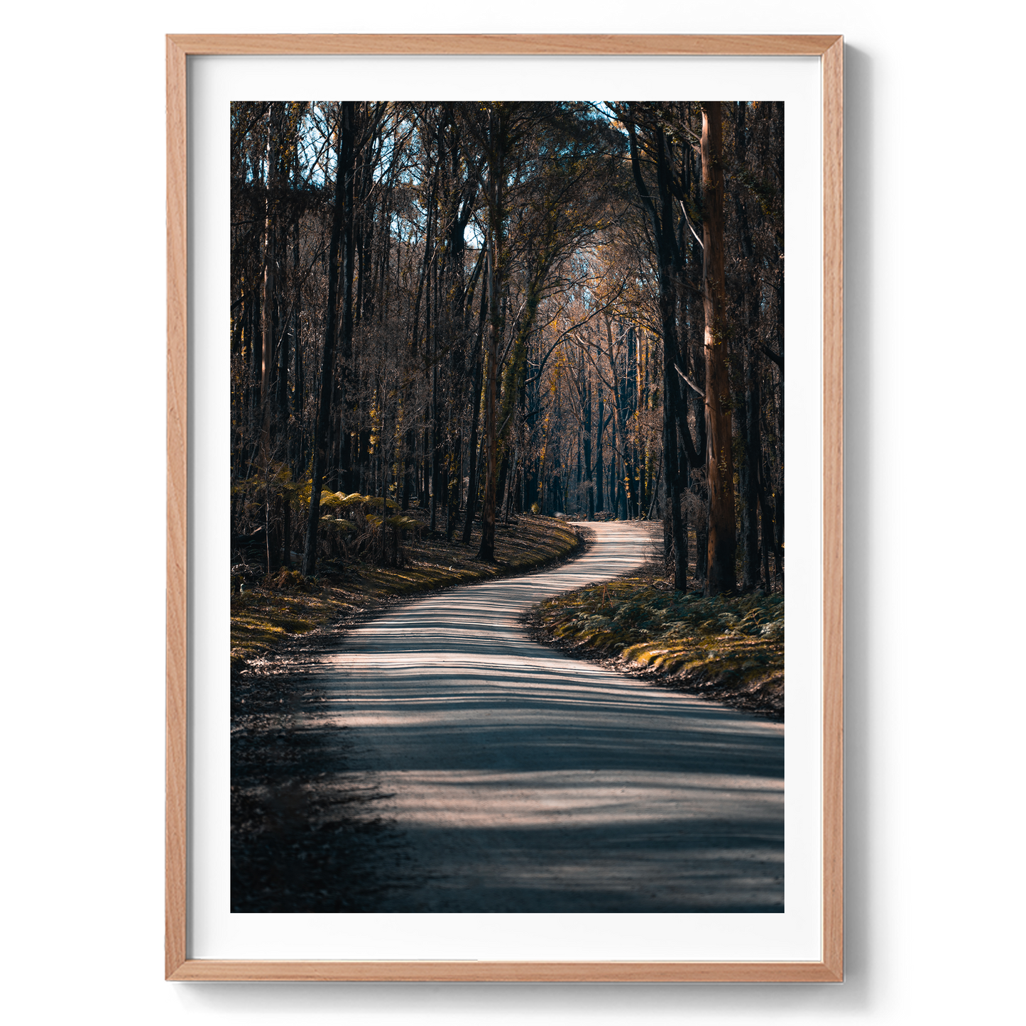 Bunyip State Park Winding Road - Victoria - Wall Art