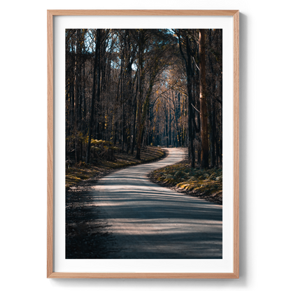 Bunyip State Park Winding Road - Victoria - Wall Art