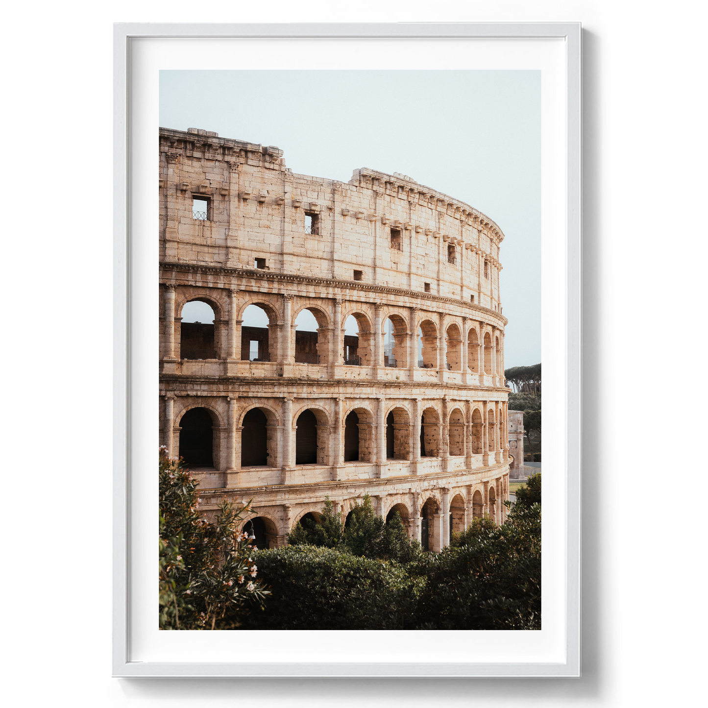Colosseum - Rome I - Rome - Wall Art