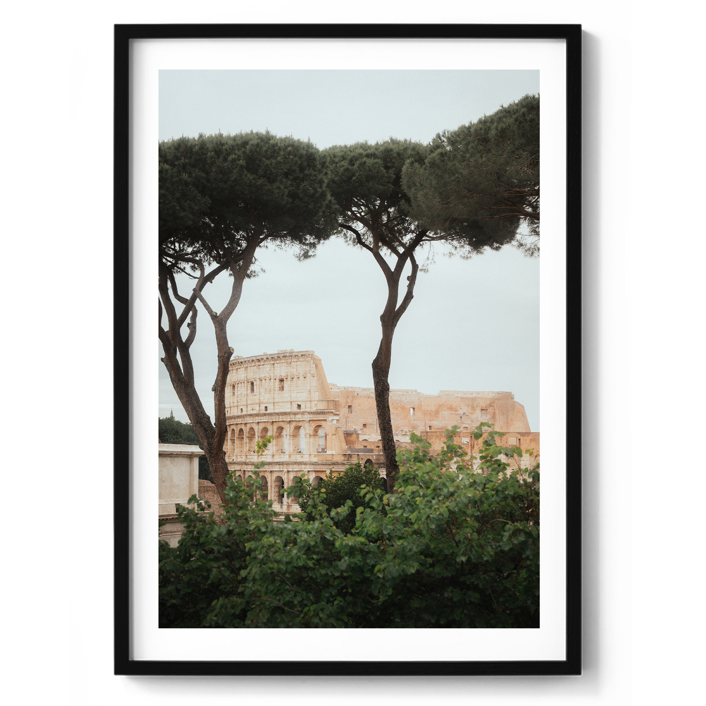 Colosseum - Rome VI - Rome - Wall Art