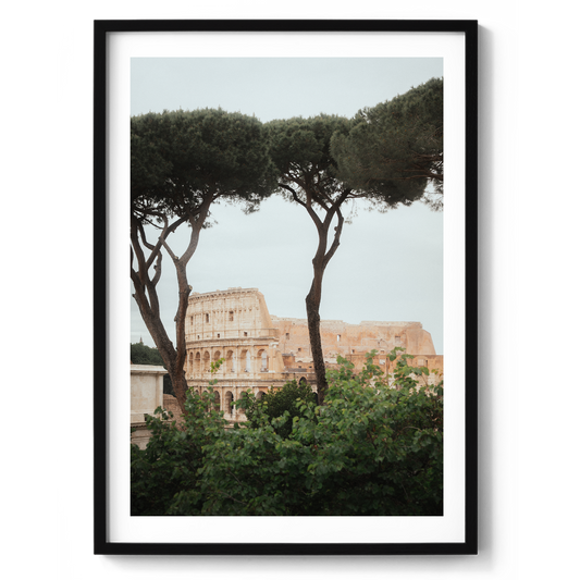Colosseum - Rome VI - Rome - Wall Art