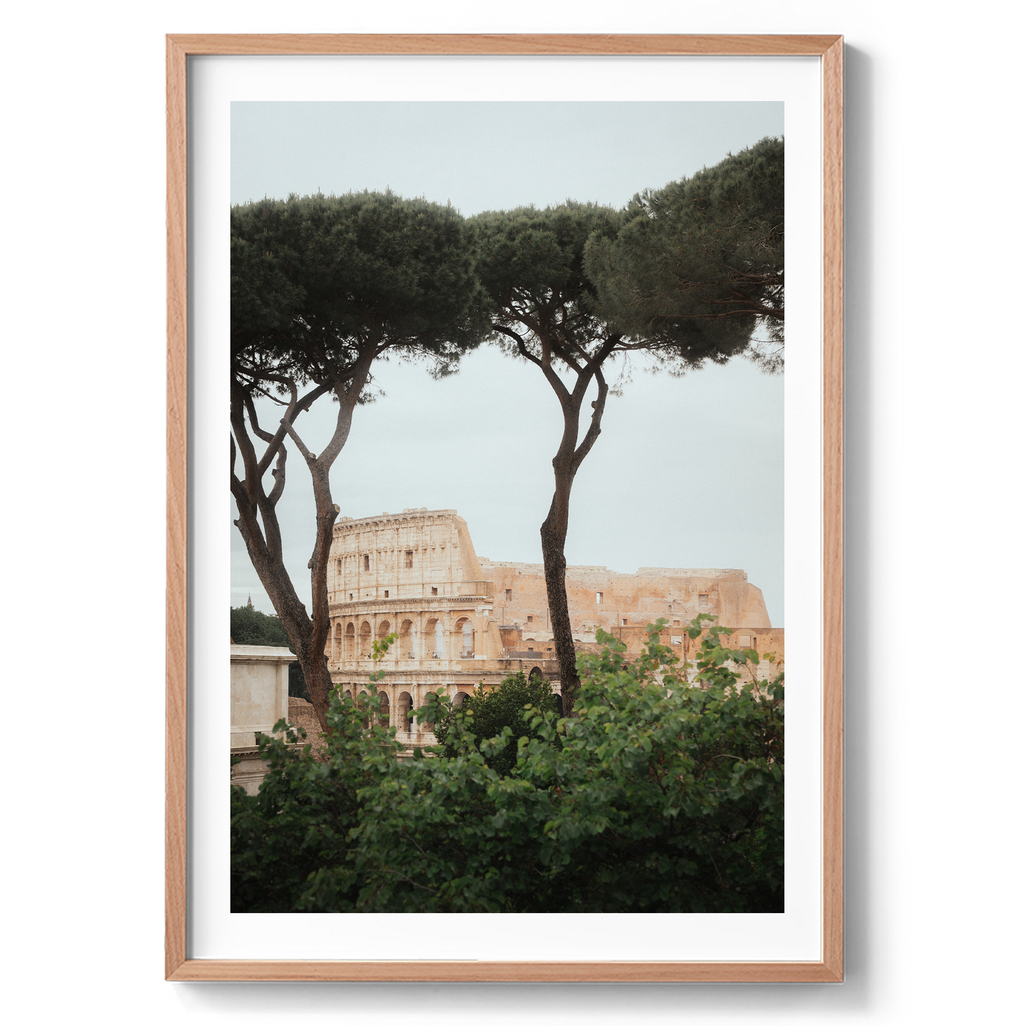Colosseum - Rome VI - Rome - Wall Art