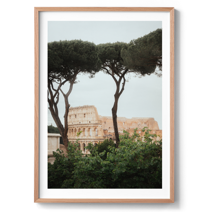 Colosseum - Rome VI - Rome - Wall Art