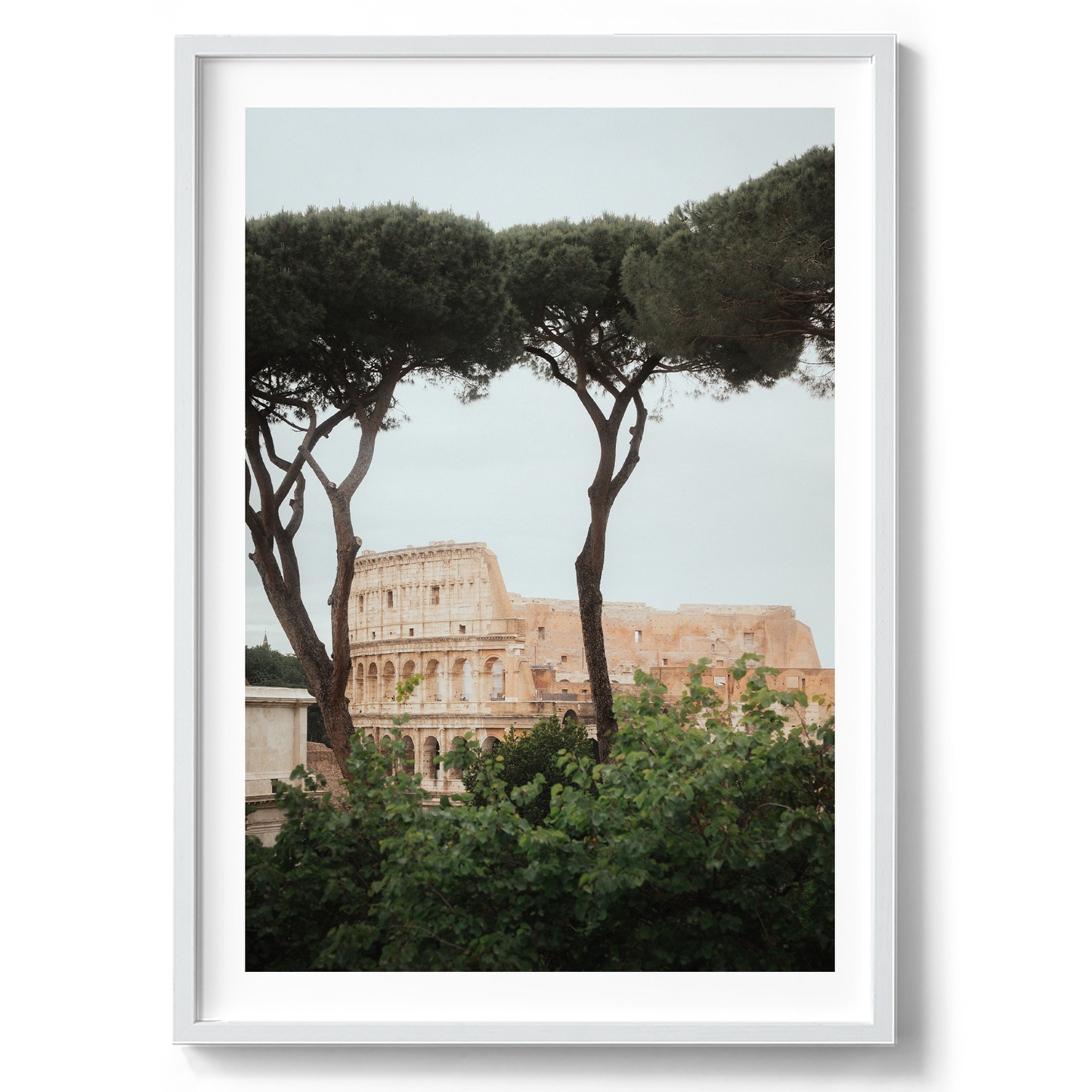 Colosseum - Rome VI - Rome - Wall Art