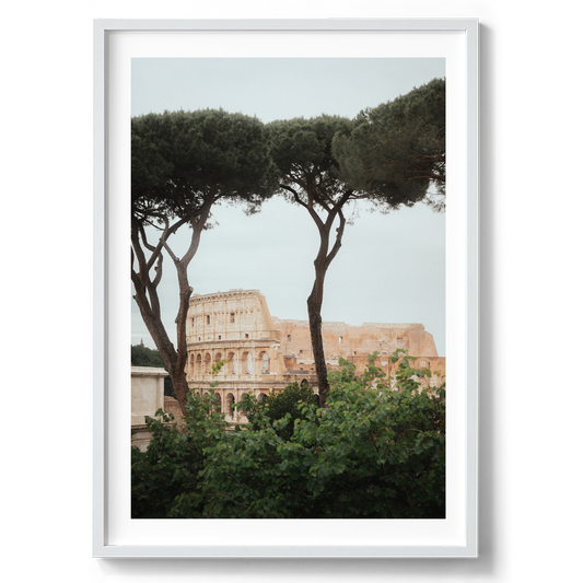 Colosseum VI in Rome artwork presented in a white frame