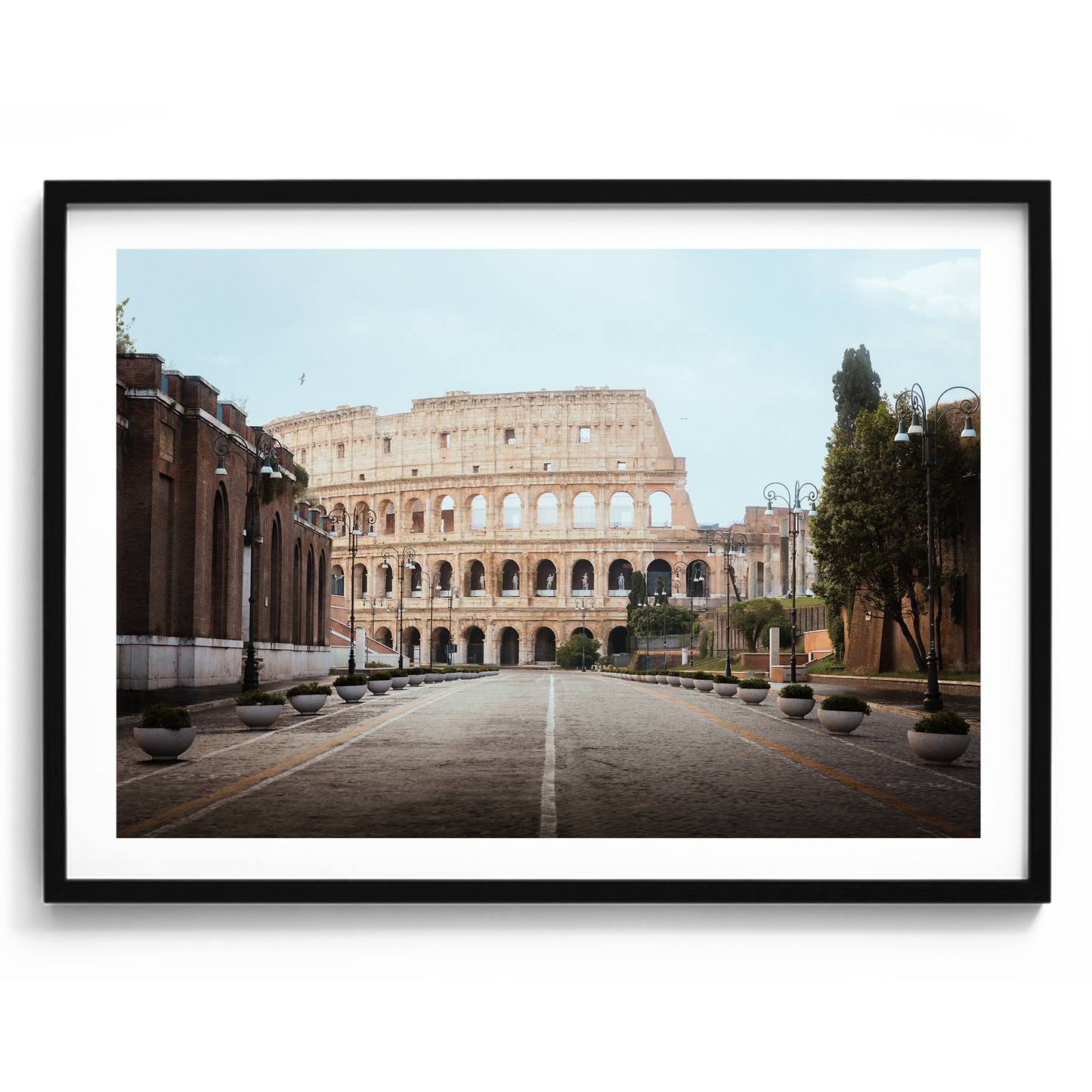 Colosseum - Rome V - Rome - Wall Art