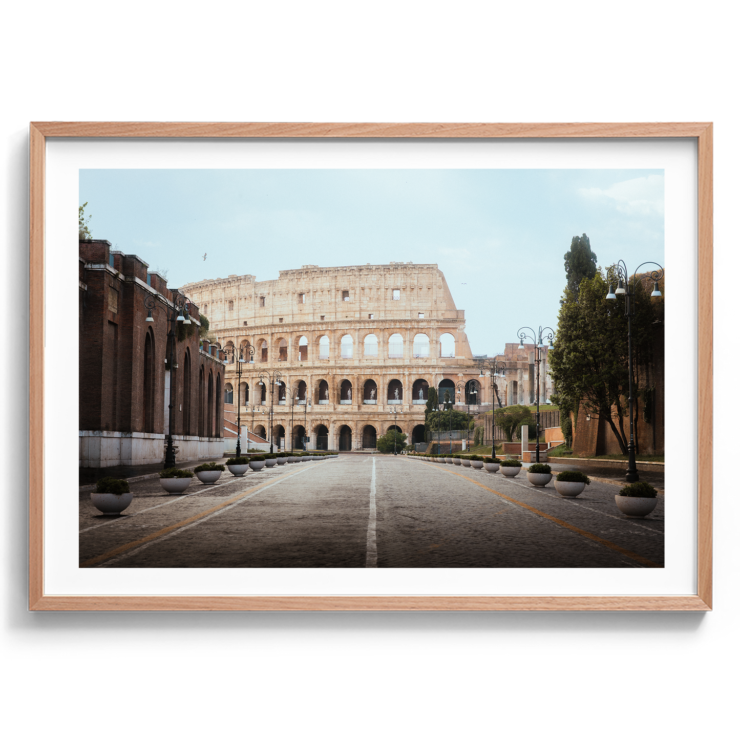 Colosseum - Rome V - Rome - Wall Art