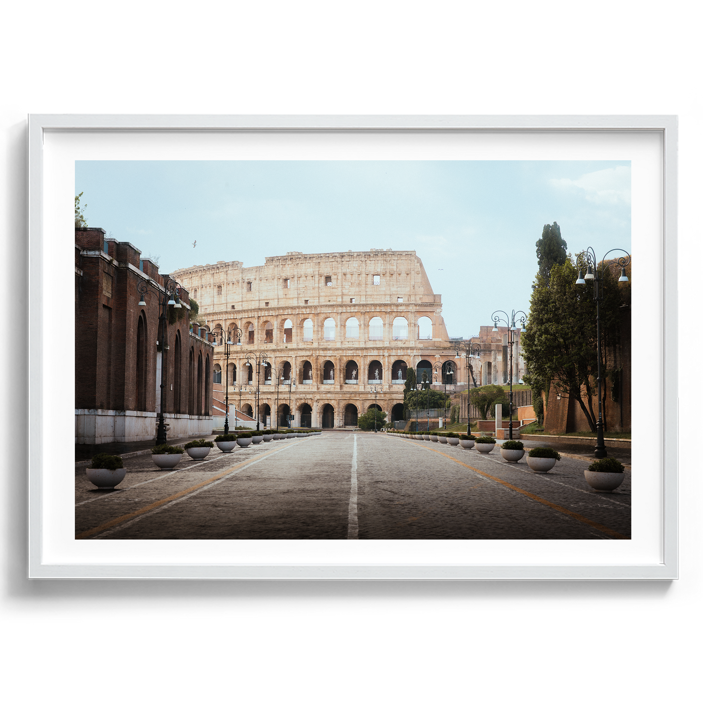 Colosseum - Rome V - Rome - Wall Art