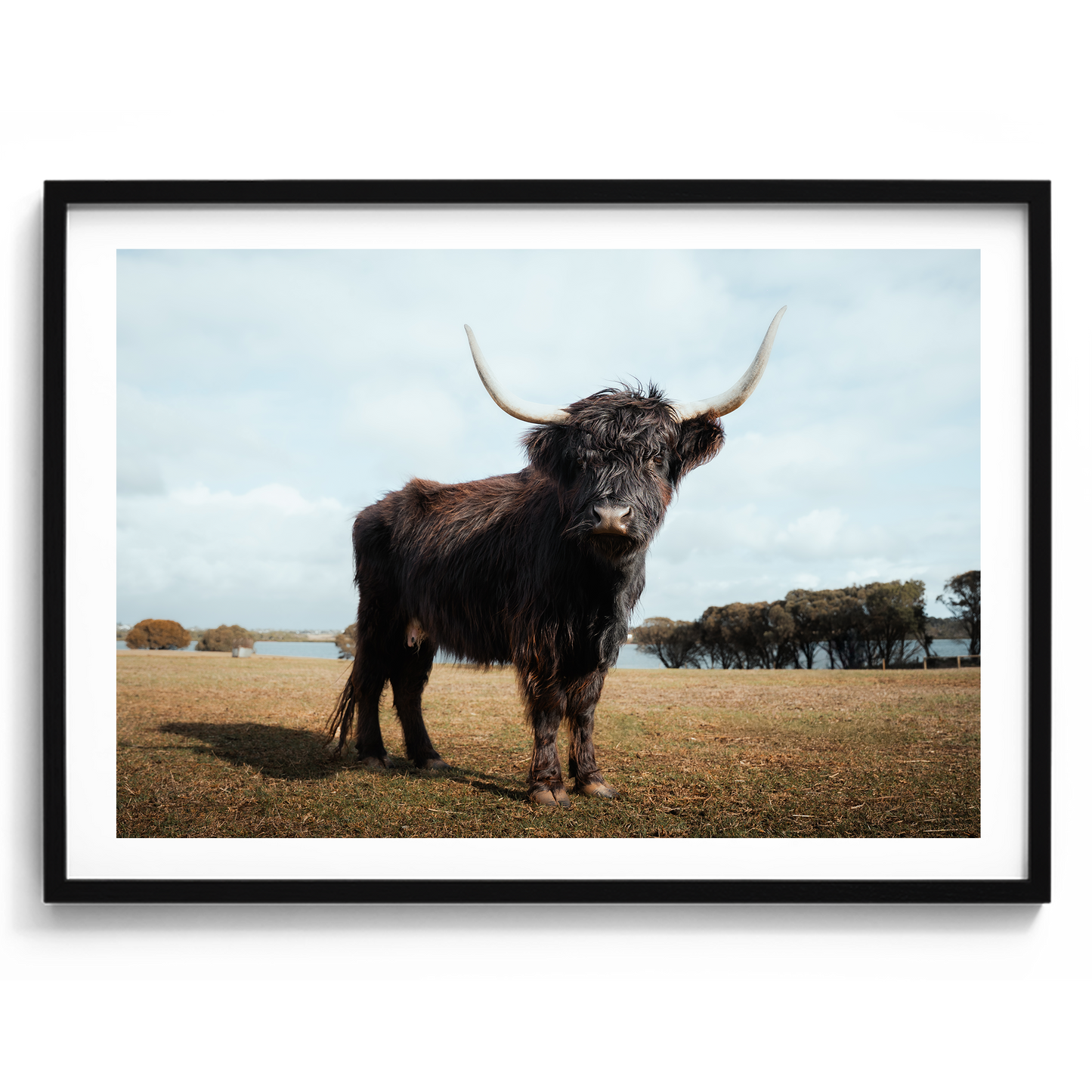 The Silent Watcher - Victoria - Wall Art