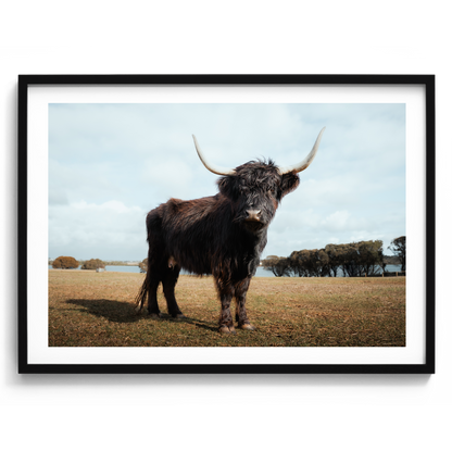 The Silent Watcher - Victoria - Wall Art