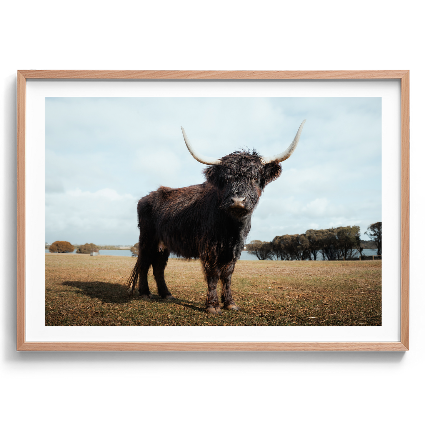 The Silent Watcher - Victoria - Wall Art