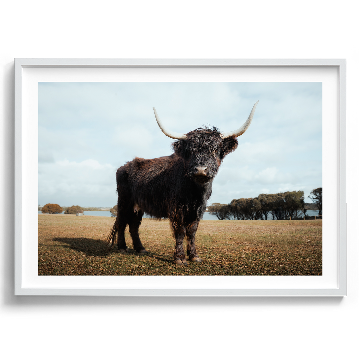 The Silent Watcher - Victoria - Wall Art