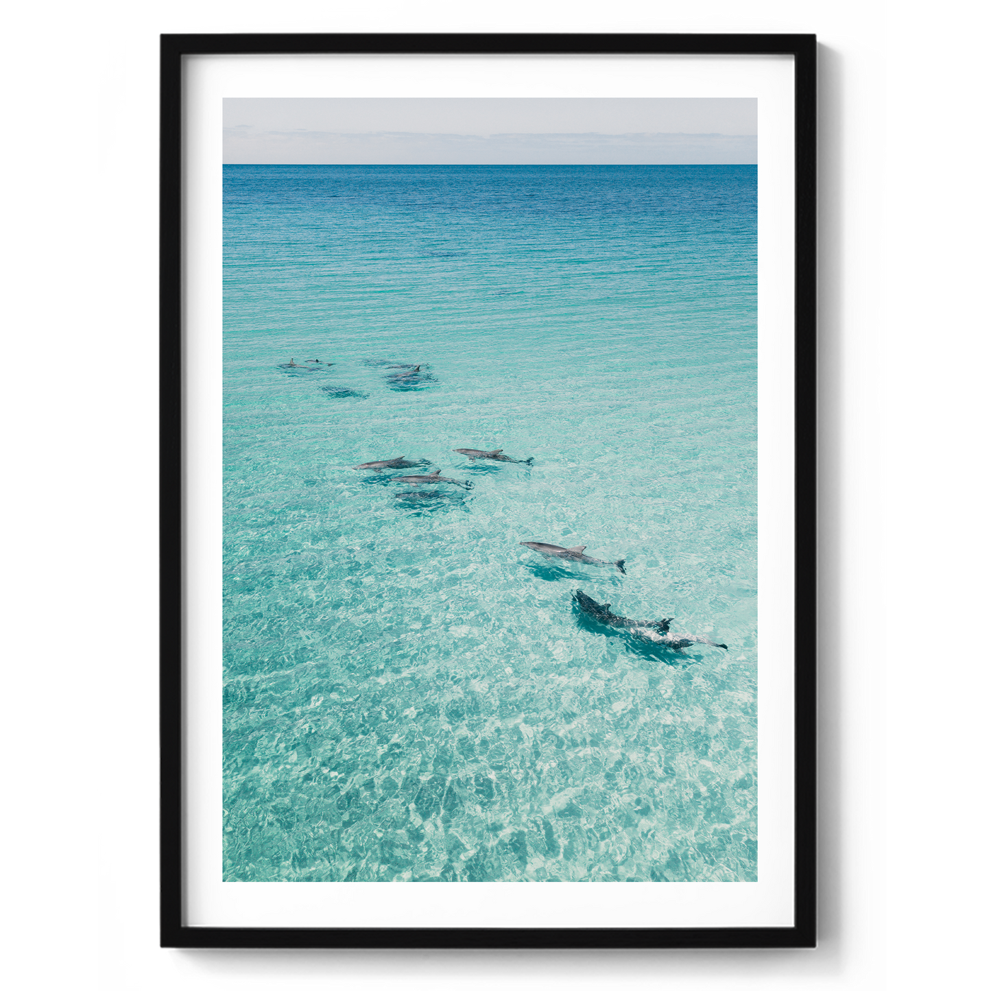 Dolphins On Tour - South Australia