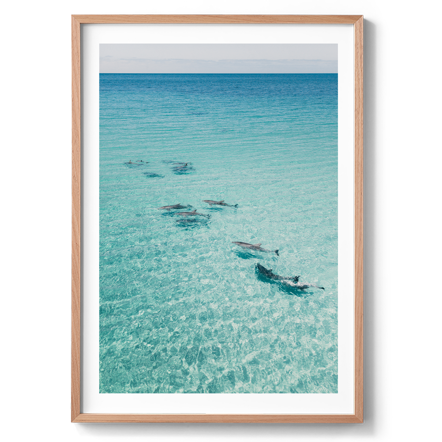 Dolphins On Tour - South Australia
