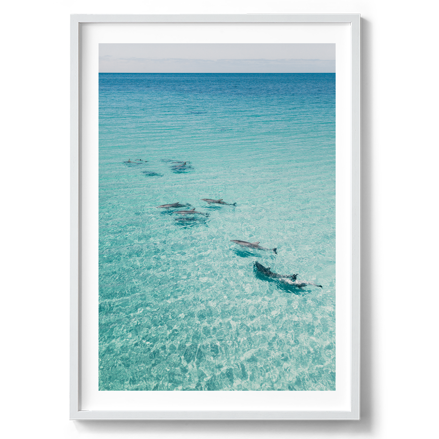Dolphins On Tour - South Australia