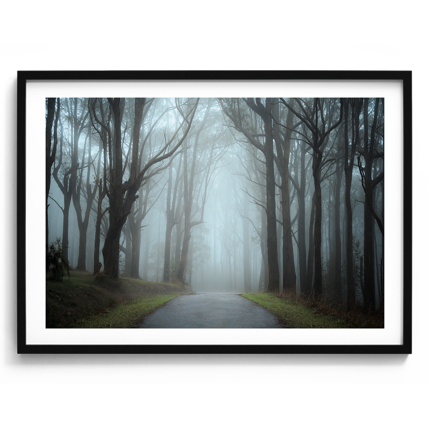 Misty Forest - Dandenong Ranges - Victoria - Wall Art