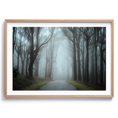 Misty Forest - Dandenong Ranges - Victoria - Wall Art