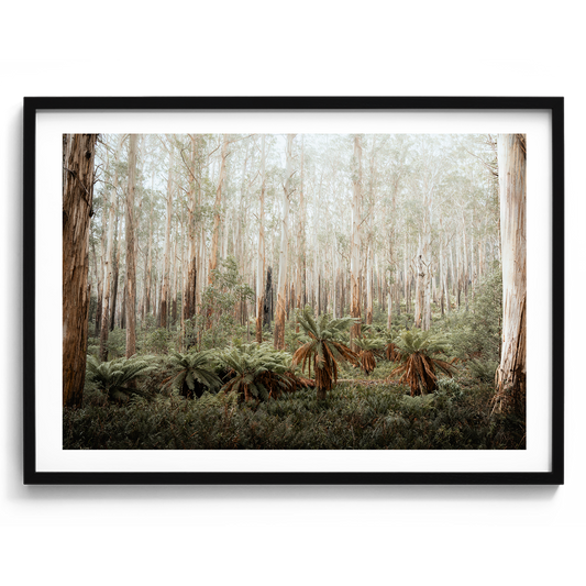 Fern Valley - Marysville - Wall Art