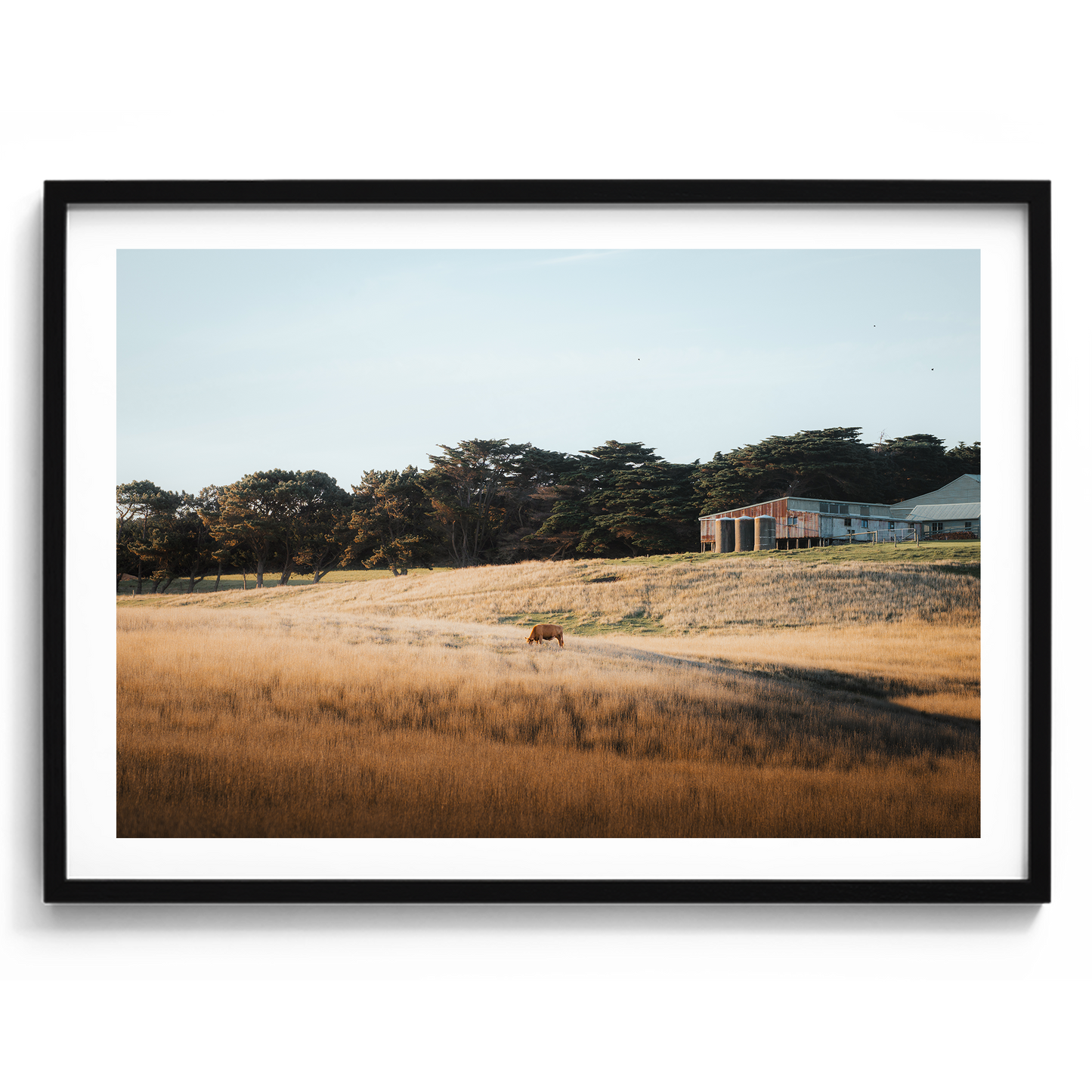 Flinders Farm Land - Victoria - Wall Art