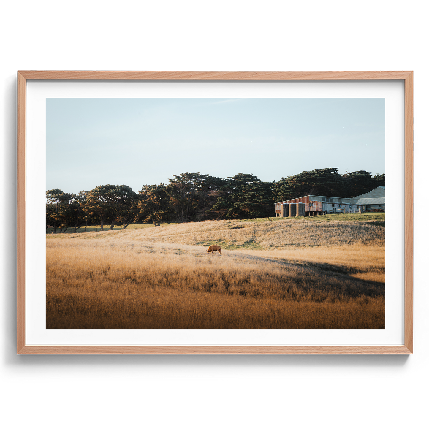 Flinders Farm Land - Victoria - Wall Art