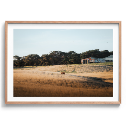 Flinders Farm Land - Victoria - Wall Art