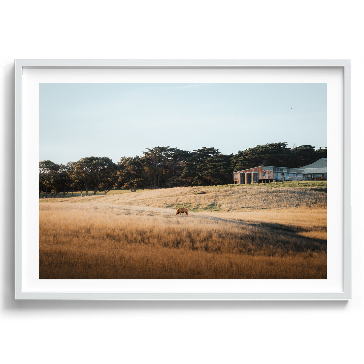 Flinders Farm Land - Victoria - Wall Art