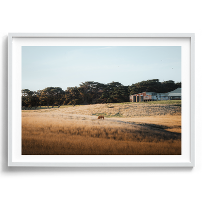 Flinders Farm Land - Victoria - Wall Art