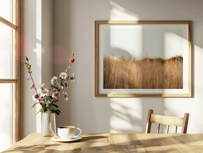 Flinders Wheat Field