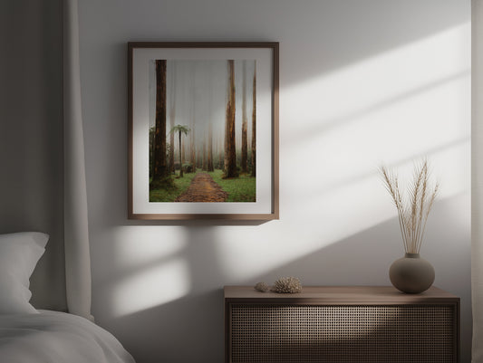 Black Spur Forest III - Narbethong - Wall Art