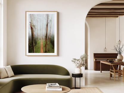 Black Spur Forest Aerial - Narbethong - Wall Art