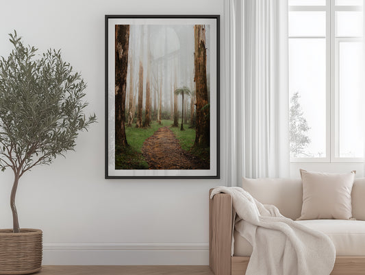Black Spur Forest - Narbethong - Wall Art