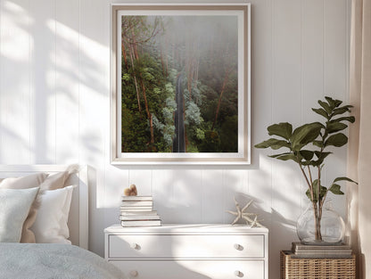 Black Spur Drive Aerial II - Narbethong - Wall Art