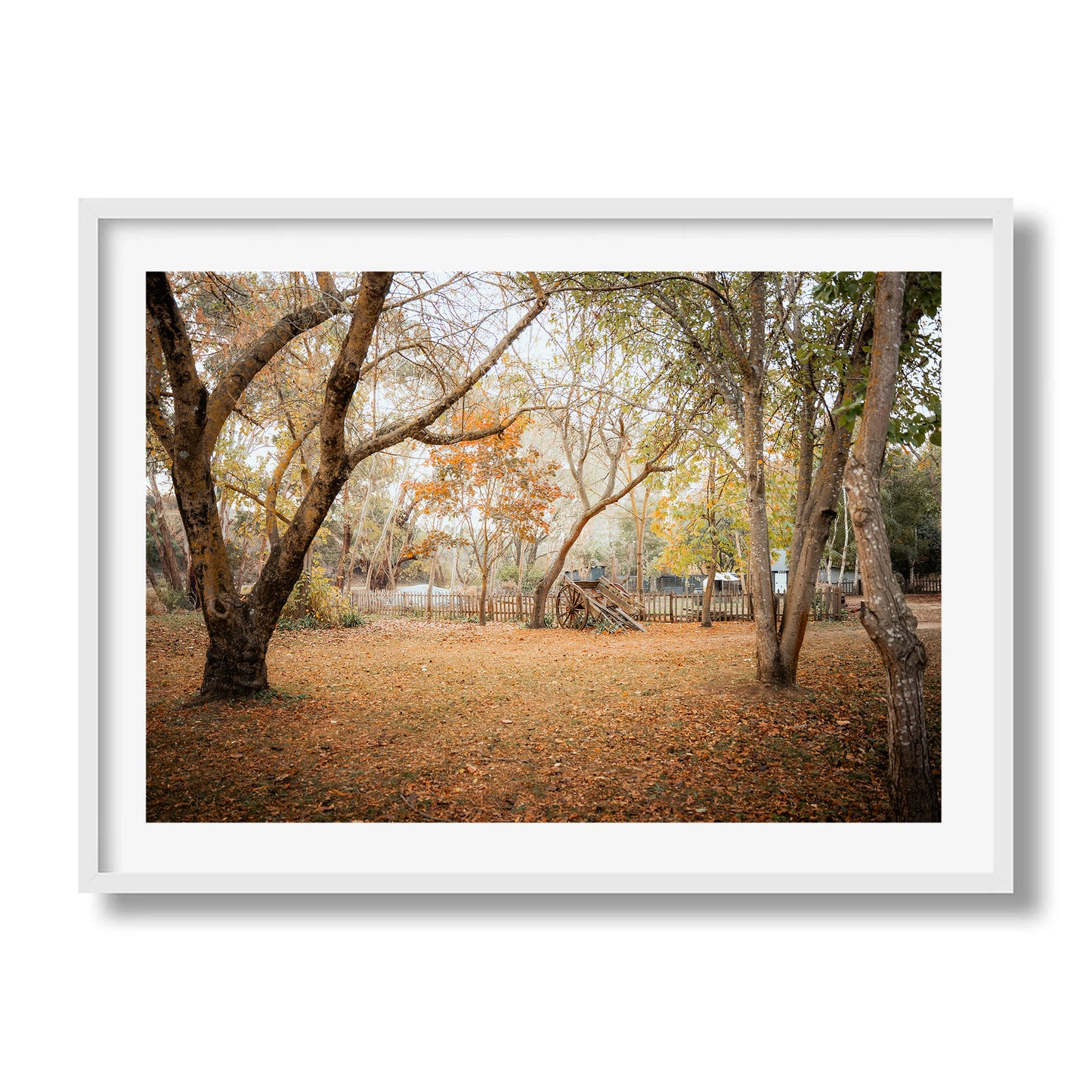 Horse Carriage In The Woods