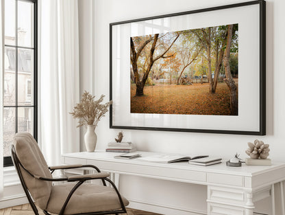 Horse Carriage In The Woods - Daylesford - Wall Art