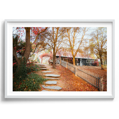 Italian Stable - Autumn Leaves - Daylesford - Wall Art