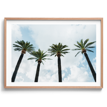 Italy Palms - Sorrento - Wall Art