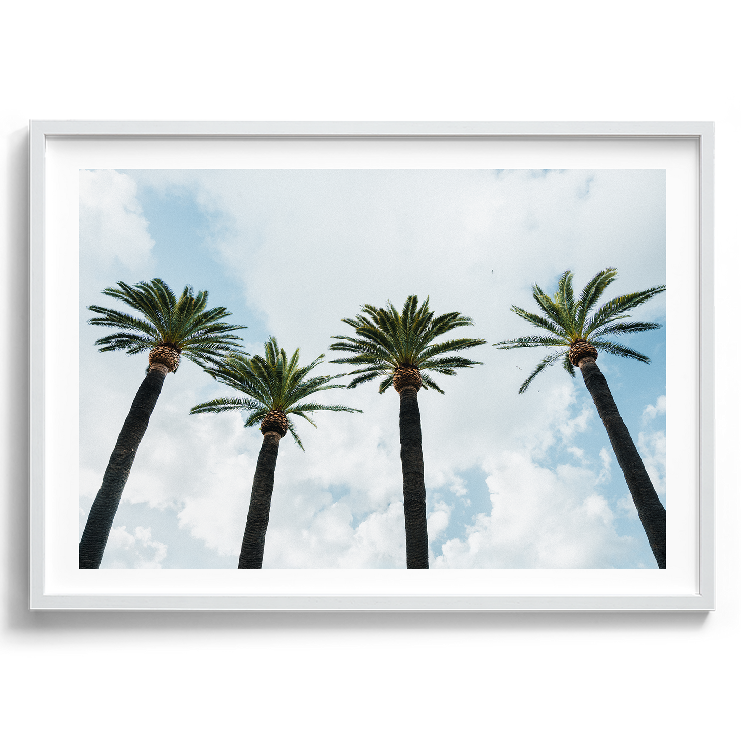 Italy Palms - Sorrento - Wall Art