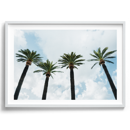 Italy Palms - Sorrento - Wall Art