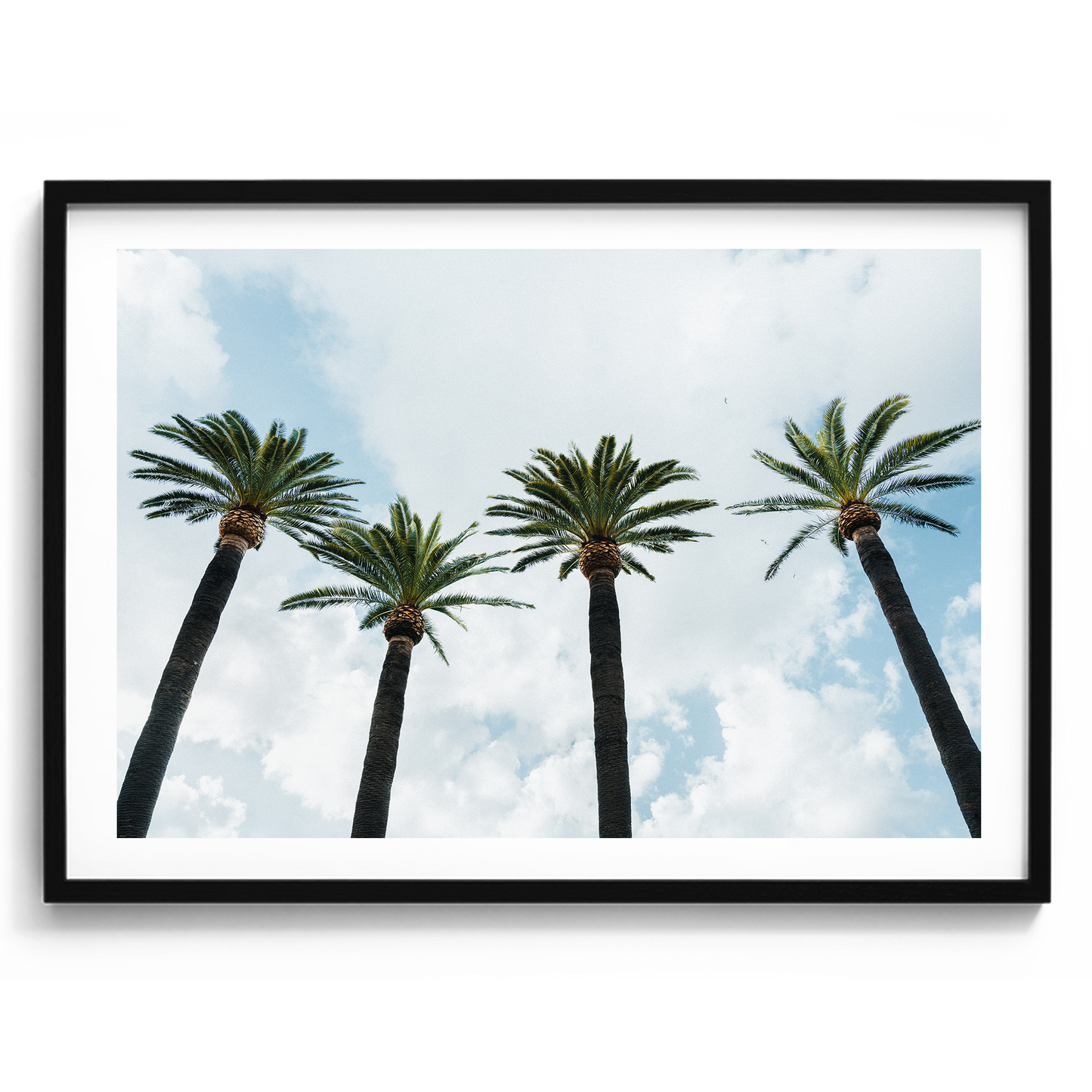 Italy Palms - Sorrento - Wall Art