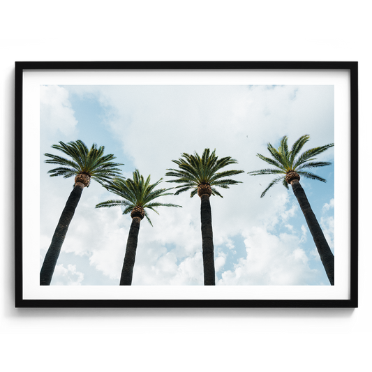 Italy Palms - Sorrento - Wall Art